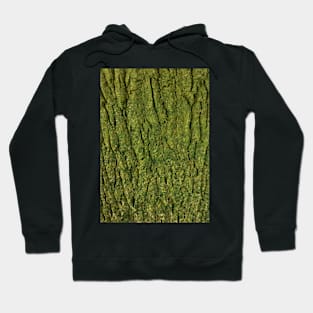 Texture - Mossy Tree Hoodie